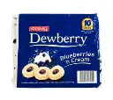 Jack 'n Jill (Bakery) Dewberry Blueberry 20x(10x33g) ***Back In Stock***